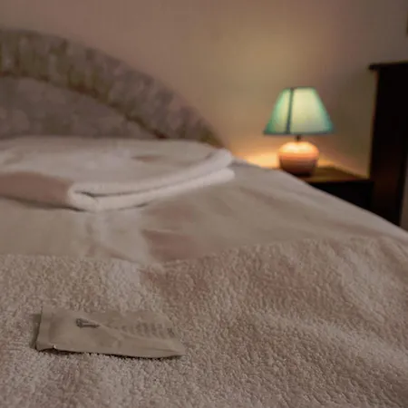 Hotel Svycarsky Dum Sněžník