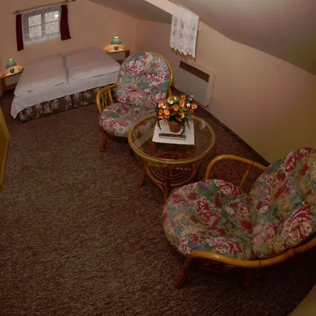 Svycarsky Dum 3* Sněžník