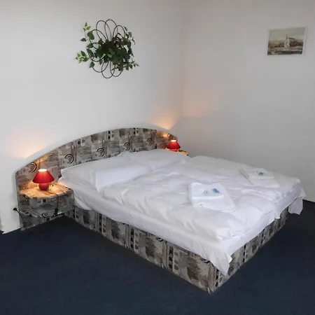 Hotel Svycarsky Dum 3* Sneznik