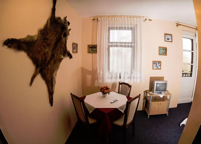 Hotel Hotel Svycarsky Dum
