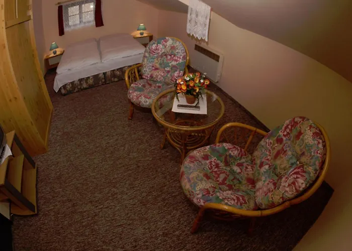 Hotel Svycarsky Dum 3* Sneznik
