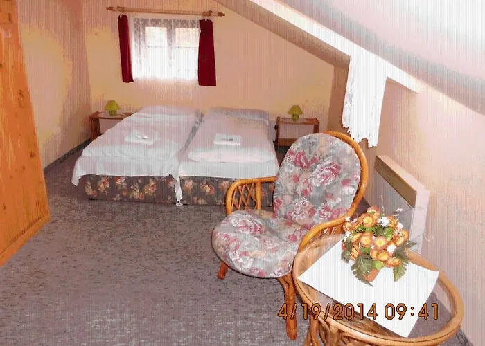 Hotel Svycarsky Dum Hotel 3*