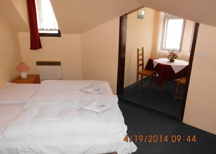 Hotel Hotel Svycarsky Dum 3*