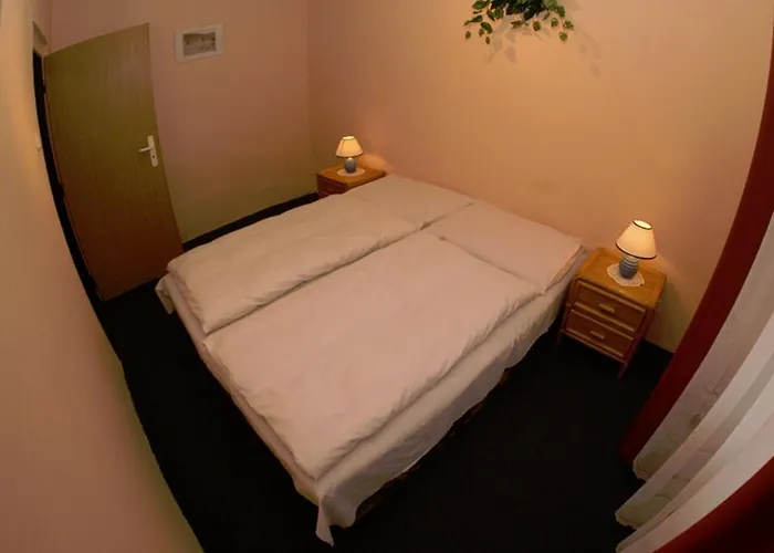 Hotel Hotel Svycarsky Dum
