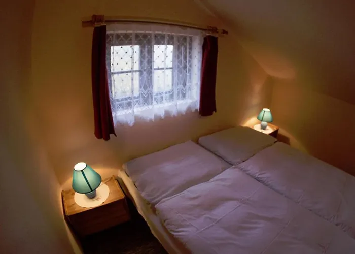 Hotel Hotel Svycarsky Dum 3*