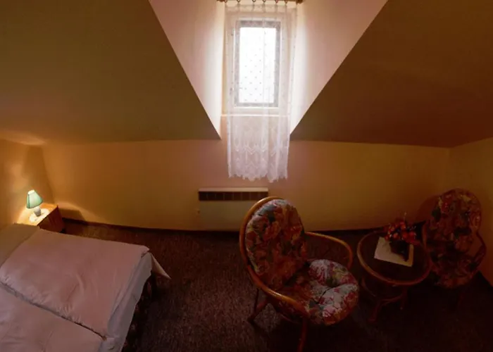 Hotel Svycarsky Dum 3*