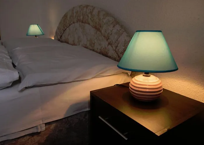 Hotel Hotel Svycarsky Dum Sneznik